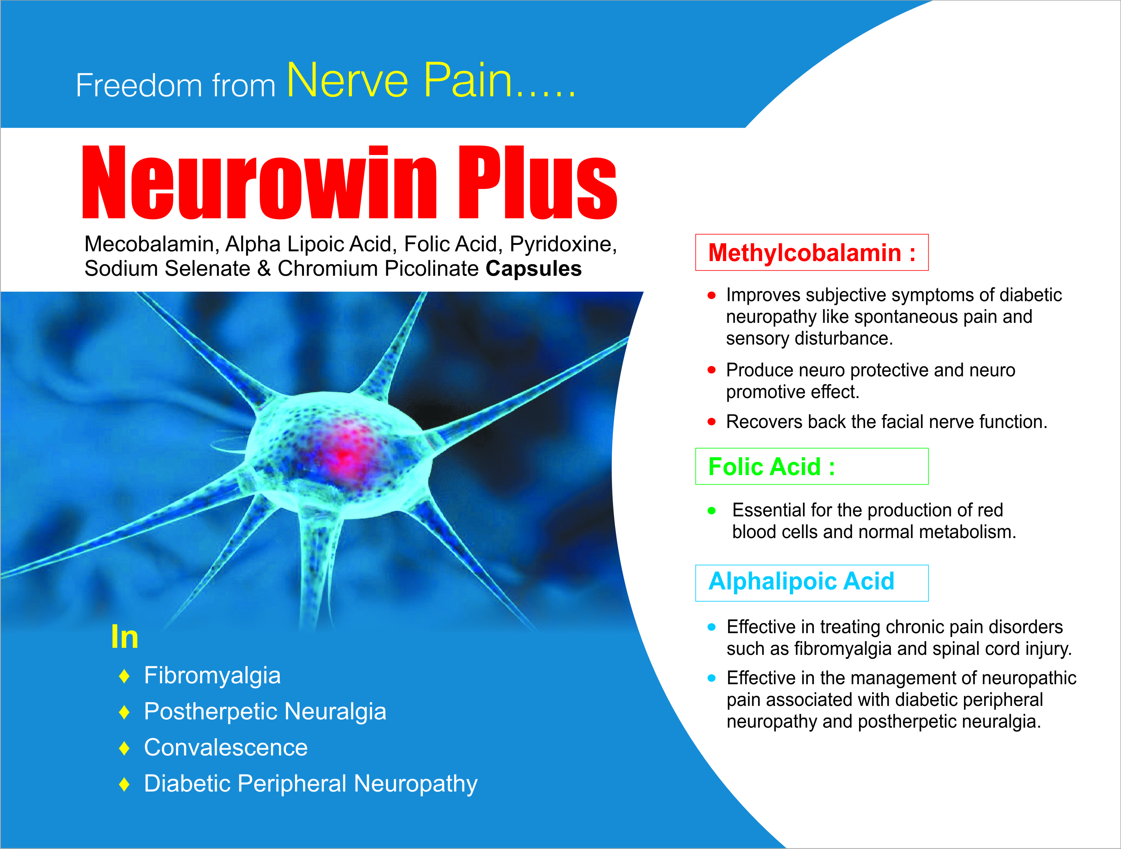 Neurowin Plus